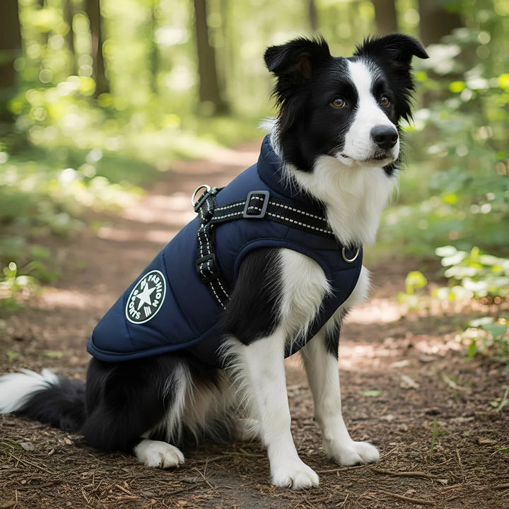 Winter Dog Coat with Built-In Harness, Padded and Lined 1