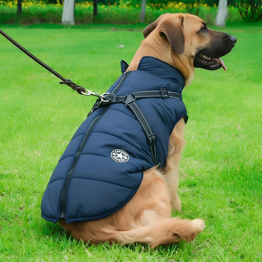 Winter Dog Coat with Built-In Harness, Padded and Lined 2
