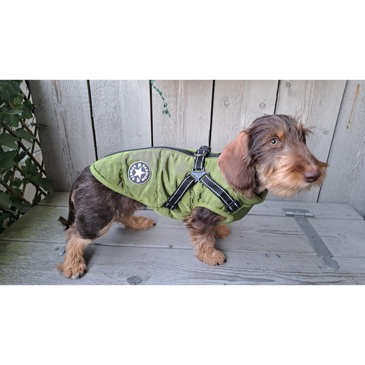 Winter Dog Coat with Built-In Harness, Padded and Lined 12