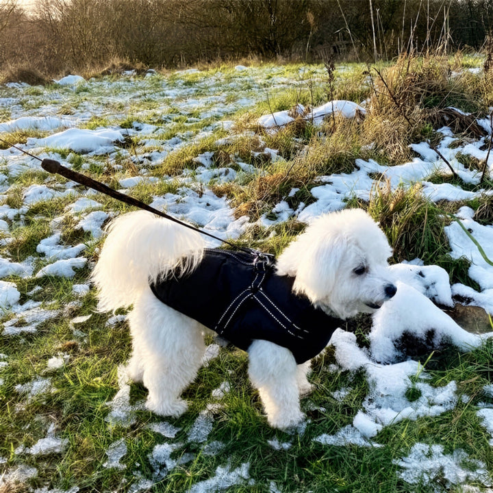 Winter Dog Coat with Built-In Harness, Padded and Lined 13