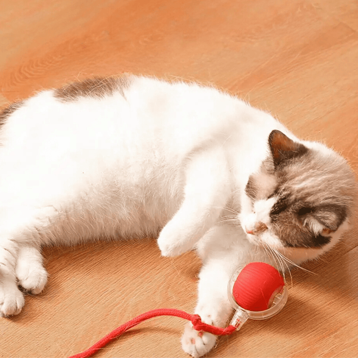 ChaseBall Interactive Chase Toy for Dogs and Cats - LED, USB 3