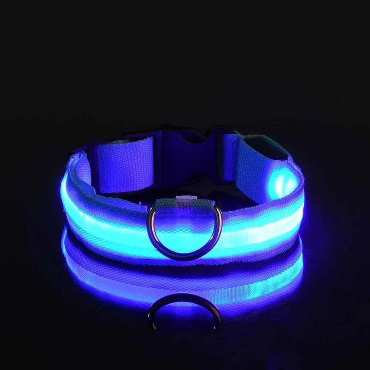 Rechargeable LED Dog Collar with 3 Light Modes, Visible Up to 500m at Night 4