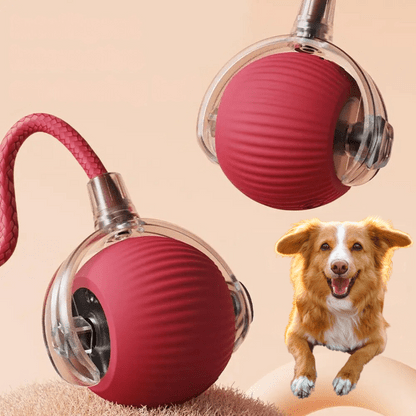 ChaseBall Interactive Chase Toy for Dogs and Cats - LED, USB 1