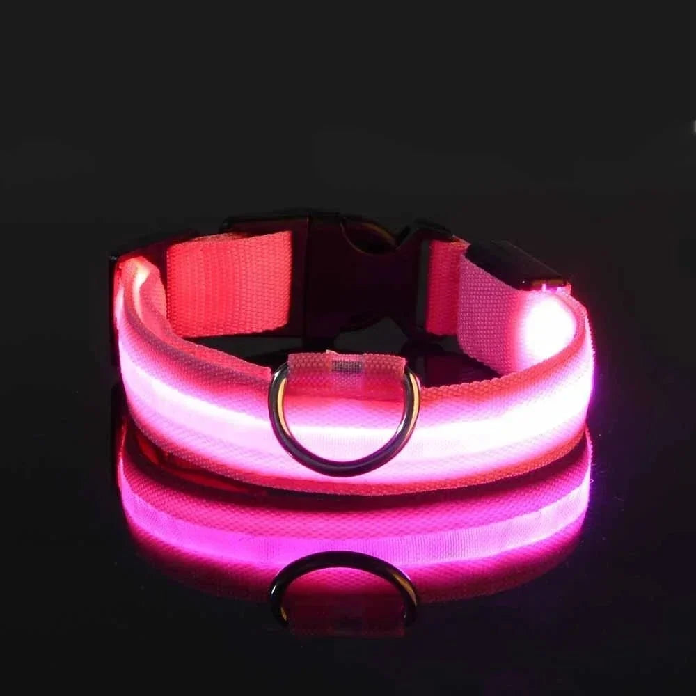 Rechargeable LED Dog Collar with 3 Light Modes, Visible Up to 500m at Night 5