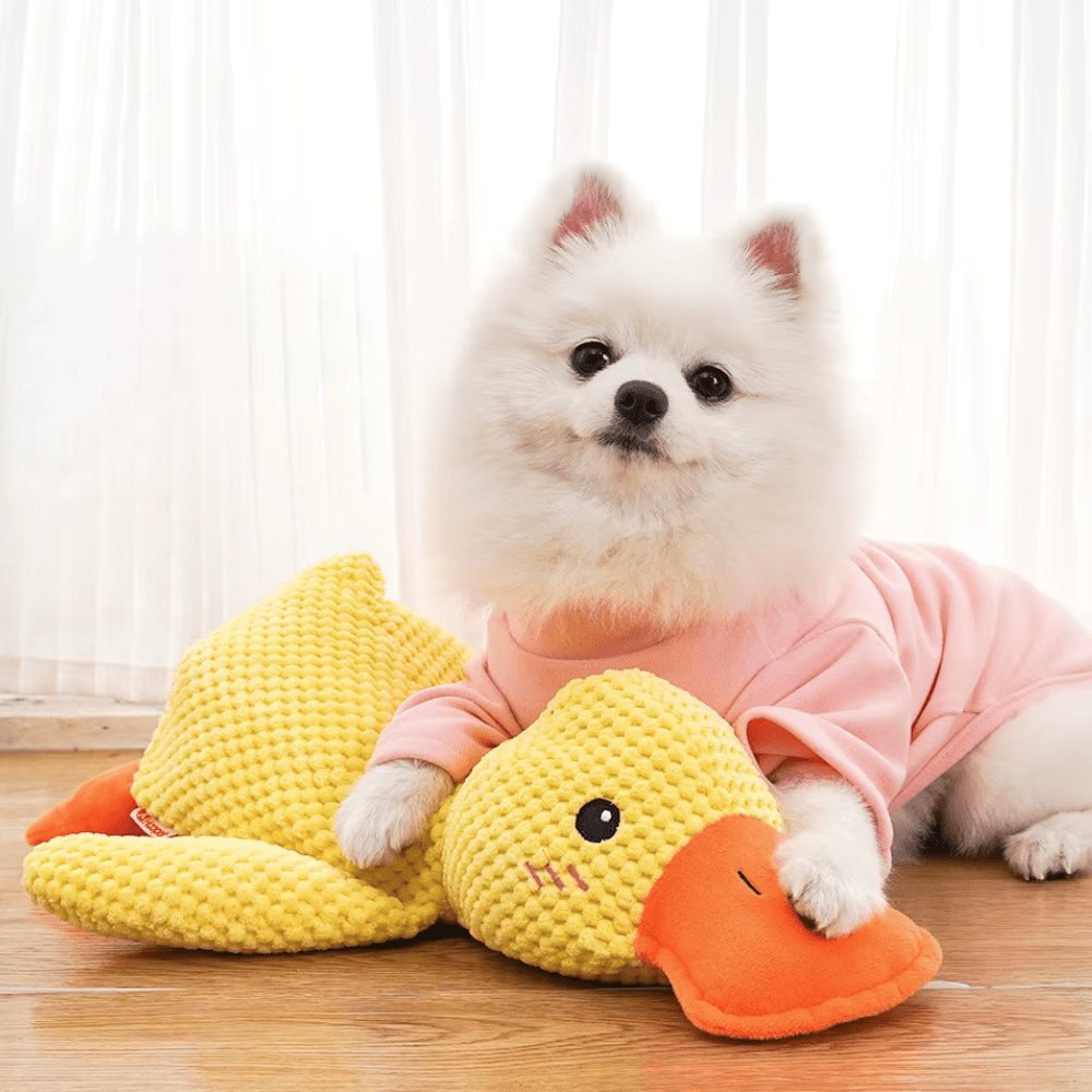 Calming Plush Duck Dog Toy with Soft Quack Sound, Set of 2 2