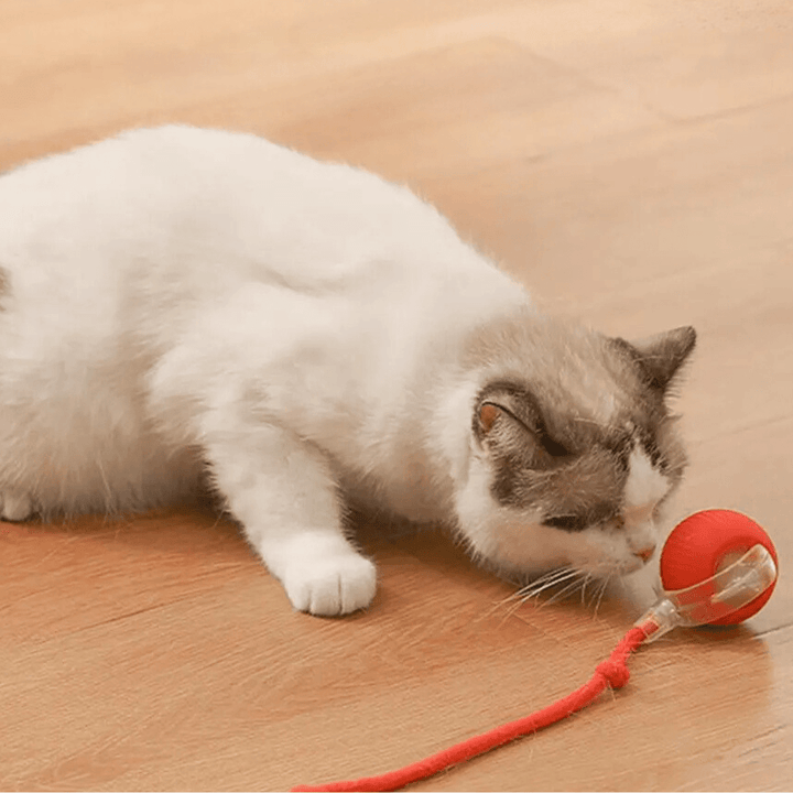 ChaseBall Interactive Chase Toy for Dogs and Cats - LED, USB 5