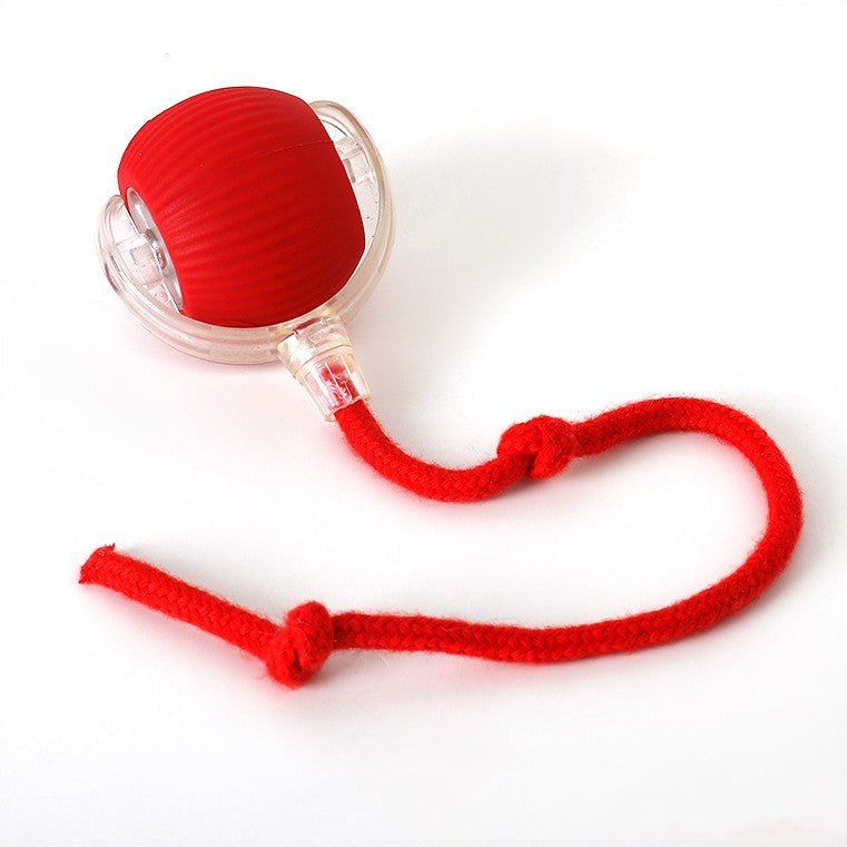 ChaseBall Interactive Chase Toy for Dogs and Cats - LED, USB 10