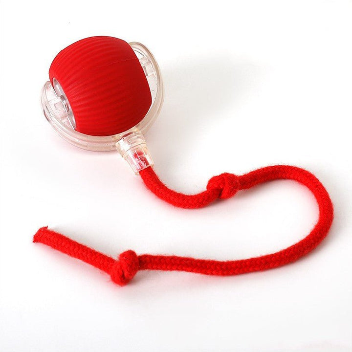 ChaseBall Interactive Chase Toy for Dogs and Cats - LED, USB 10