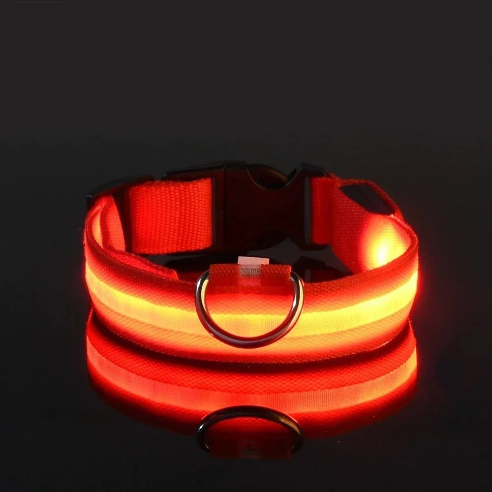 Rechargeable LED Dog Collar with 3 Light Modes, Visible Up to 500m at Night 8
