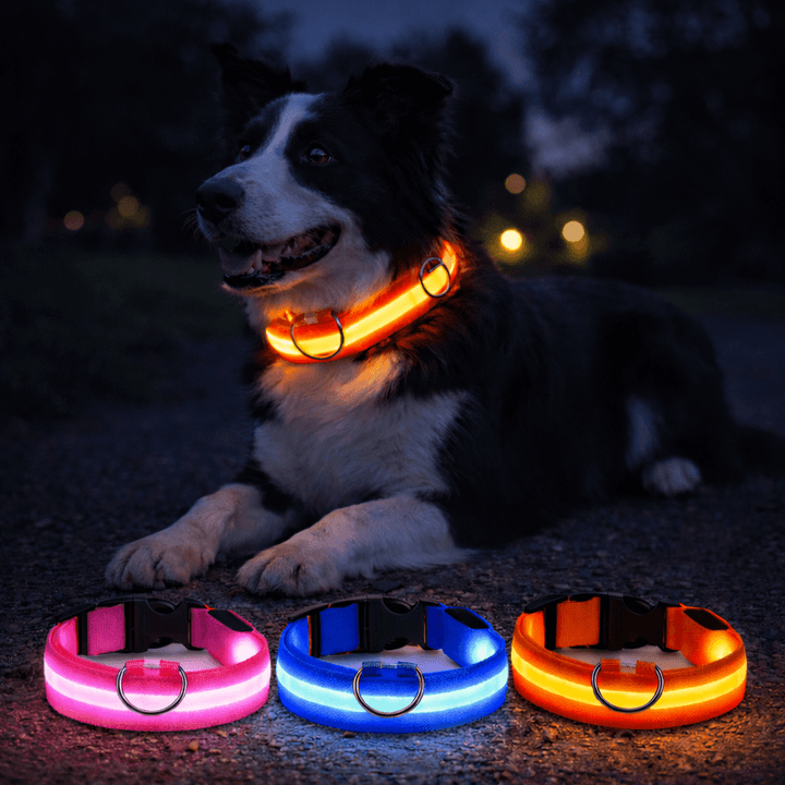 Rechargeable LED Dog Collar with 3 Light Modes, Visible Up to 500m at Night 3