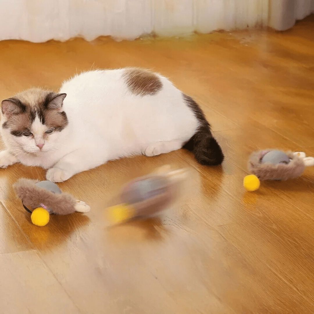ChaseBall Interactive Chase Toy for Dogs and Cats - LED, USB 4