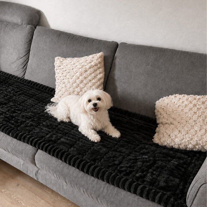 Brittany Sofa Protector — Water-Resistant Blanket for Dogs & Cats 3