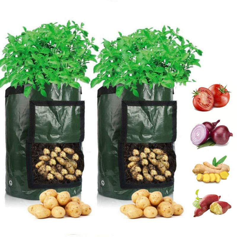 Grow Potatoes at Home: Smart Potato Grow Bag for Patio & Balcony 1
