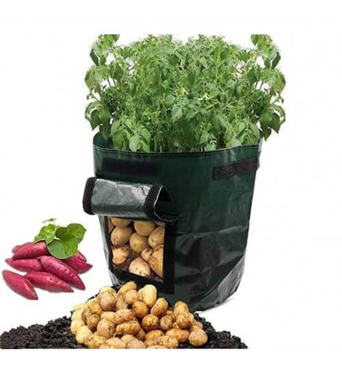 Grow Potatoes at Home: Smart Potato Grow Bag for Patio & Balcony 10