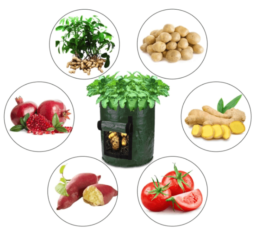 Grow Potatoes at Home: Smart Potato Grow Bag for Patio & Balcony 11