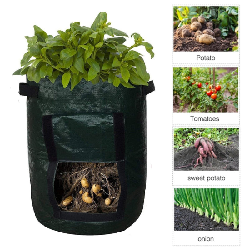 Grow Potatoes at Home: Smart Potato Grow Bag for Patio & Balcony 3