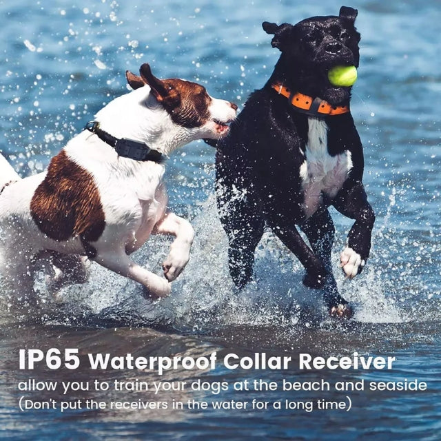 Waterproof Remote Dog Training Collar with Vibration, Tone and Static Modes 2