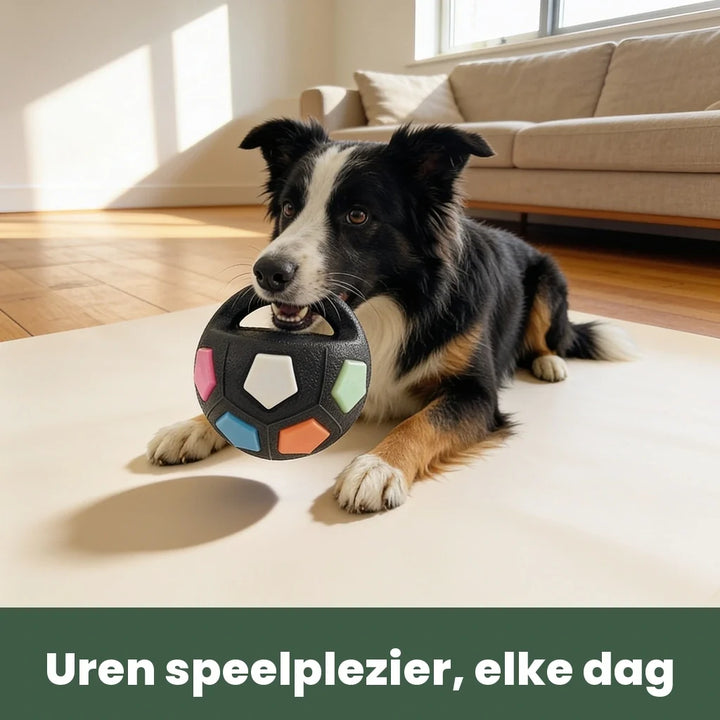 Indestructible Dog Ball for Power Chewers 2
