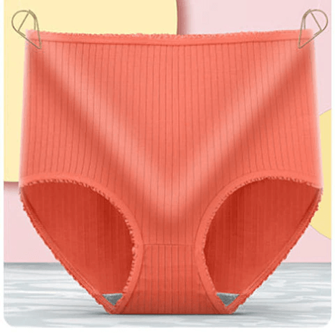 Women's Leakproof Panties 3-Pack - Breathable Ribbed Briefs 10